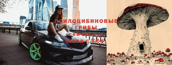 мет Семёнов