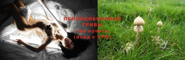марки lsd Снежногорск