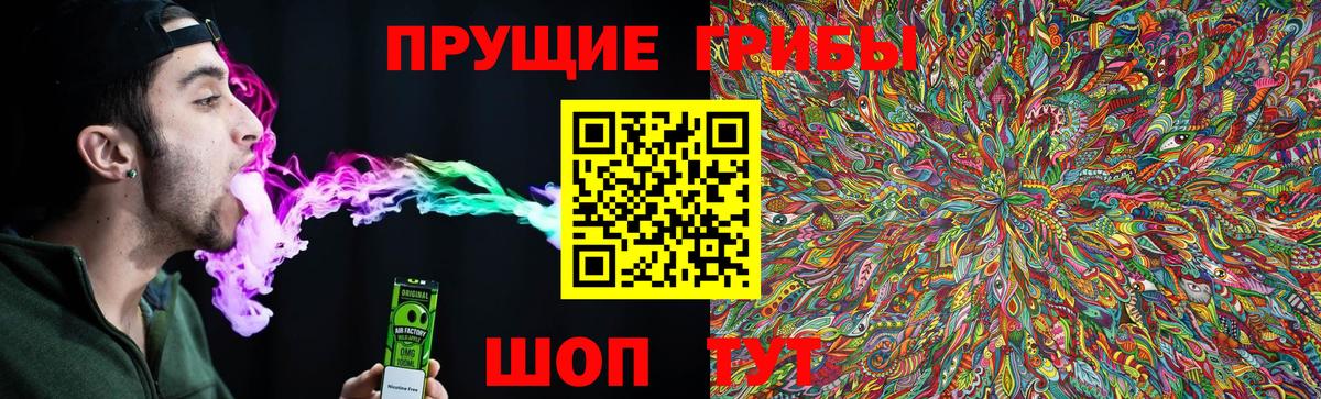 Псилоцибиновые грибы Psilocybe  Тында  Псилоцибиновые грибы ЛСД 