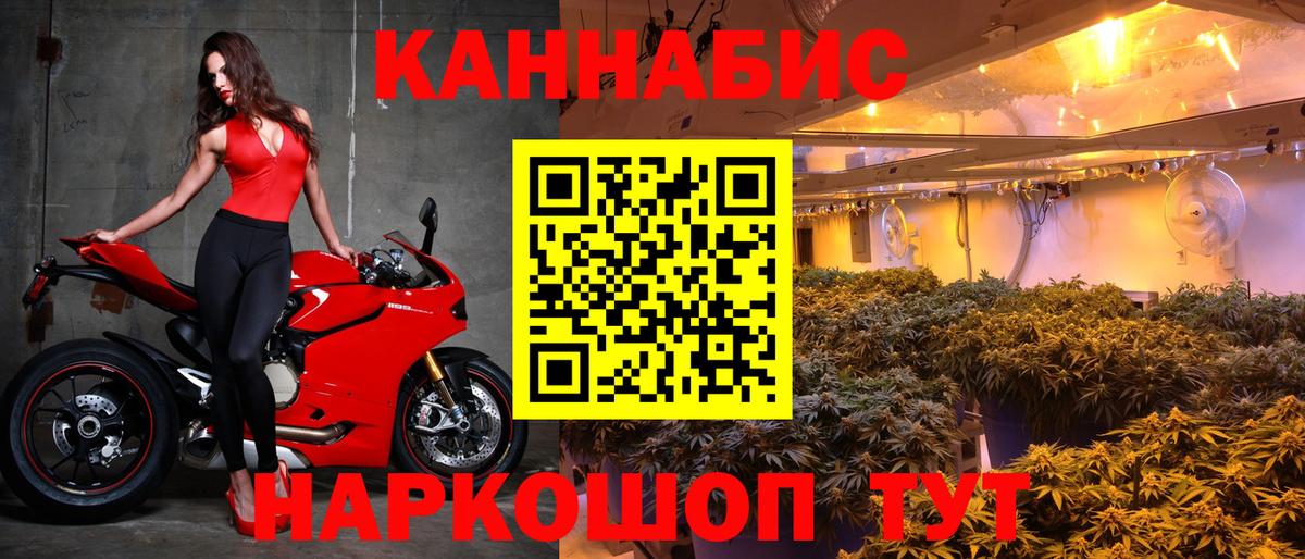 Бошки марихуана планчик  Канабис конопля  Канабис OG Kush  Вход с VPN  Тында 